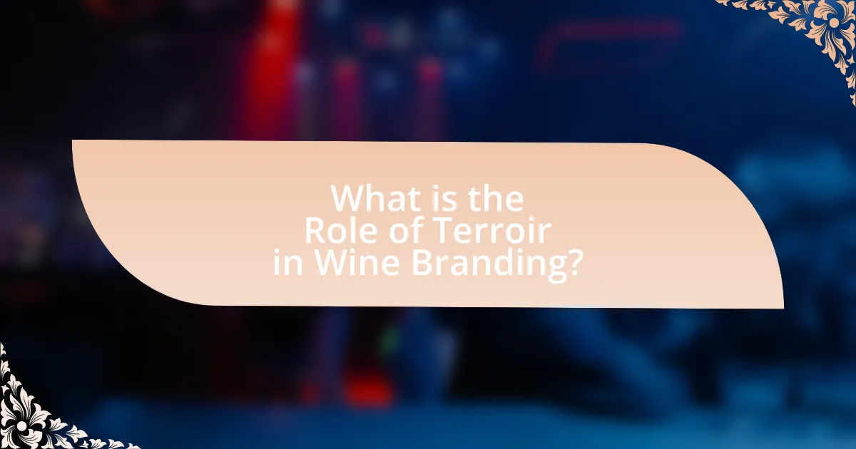 What is the Role of Terroir in Wine Branding?